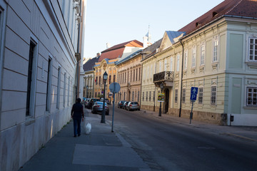 Old building European building in Budapest