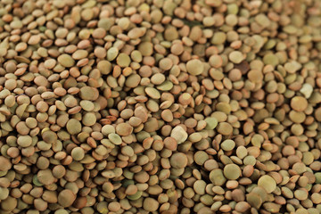 Green fresh and healthy lentil stock for sale