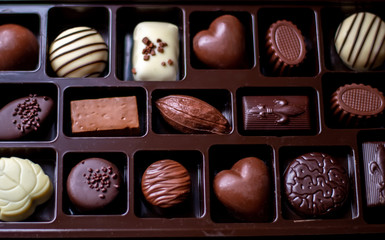 Still life of  gourmet chocolate choices in a tray