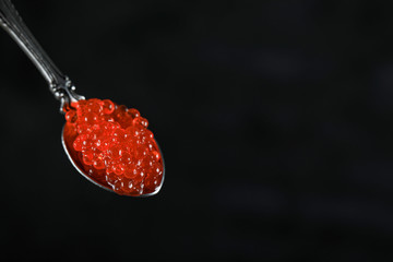 Red salmon caviar in a metallic spoon on black background