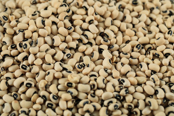 White beans stock for wholesale