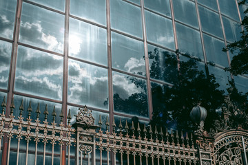 Old forged metal gate in the city