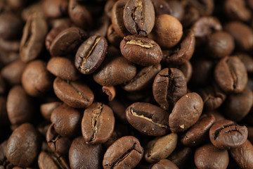 Fresh coffee beans for wholesale, close view