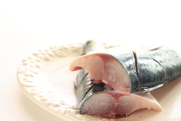 freshness mackerel Japanese Saba fish prepared for cooking ingredient