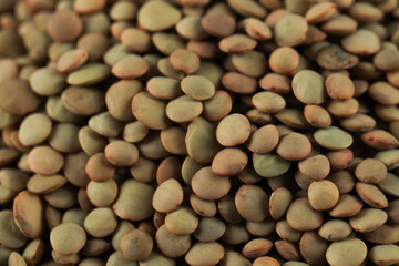 Green fresh and healthy lentil on the background