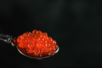 Red salmon caviar in a metallic spoon