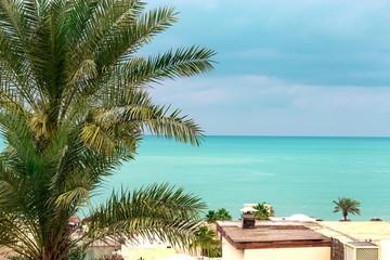 Fototapeta na wymiar Empty deserted beach with umbrellas and sunbeds. Overcast weather. Gulf Coast. Ocean view. Travel concept