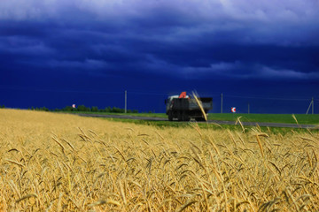  car rides along a road along a wheat field.