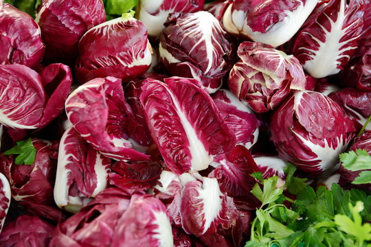 Group of Veronese red radicchio ready to be sold at the market.