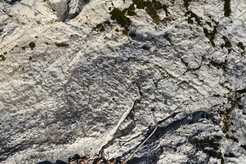 Stone texture close up detail