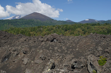 Fields of solidified lava, forest and Llaima volcano covered by clouds.