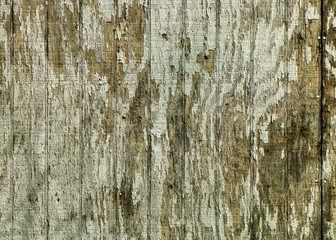 old wood texture