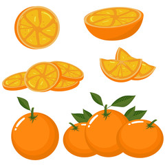 Orange whole and slices of oranges. Vector illustration of oranges. Fully editable handmade mesh.
