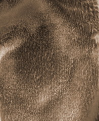 Texture of artificial fur.