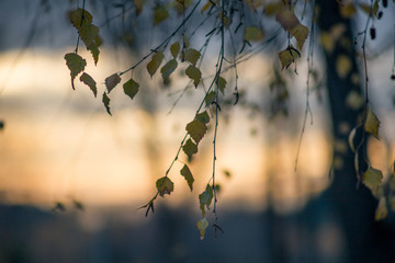 Beautiful sunset in Pripyat at Chernobyl
