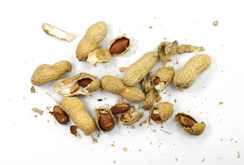 Peanuts isolated on the white background. Peanuts pod or arachis isolated on white background