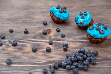 three homemade chocolate cupcakes with blue cream and blueberries scattered side by side on a wooden background
