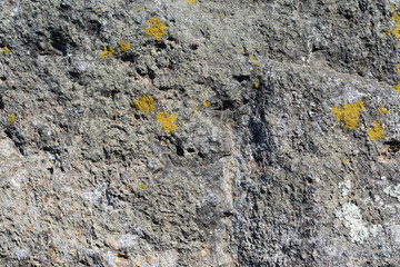 Stone texture close up detail
