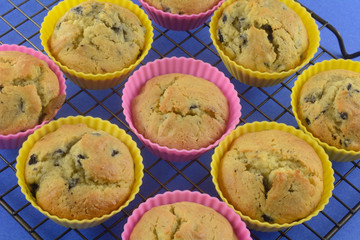 Freshly baked Blueberry muffins in silicone muffin cups cooling on cooling rack