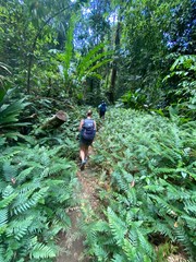 Hiking Corcovado NP, Costa Rica © Chuck