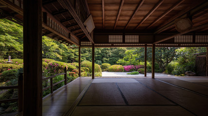 京都府 詩仙堂 サツキ