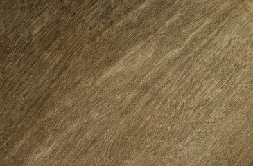 texture of wood