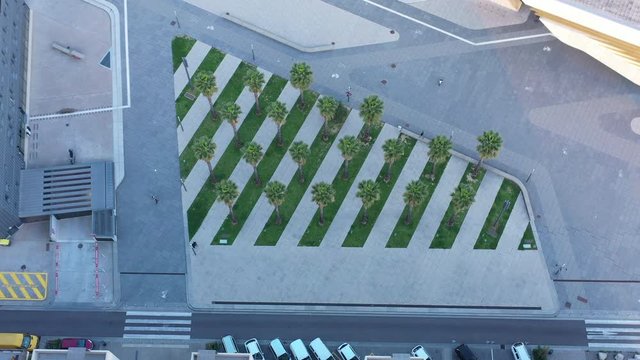 Aerial top view over palm trees urban area Montpellier Pierre vive modern graphic district  