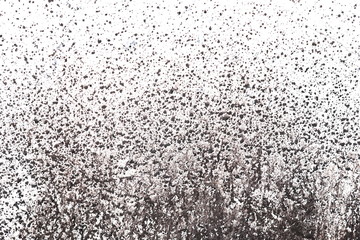 더렵혀진 하얀 벽