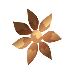 cute flower golden isolated icon vector illustration design