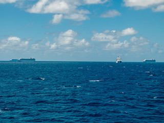 Bimini, Bahamas - March 19, 2020: cruise ships on quarantine at the ocean at sunny weather