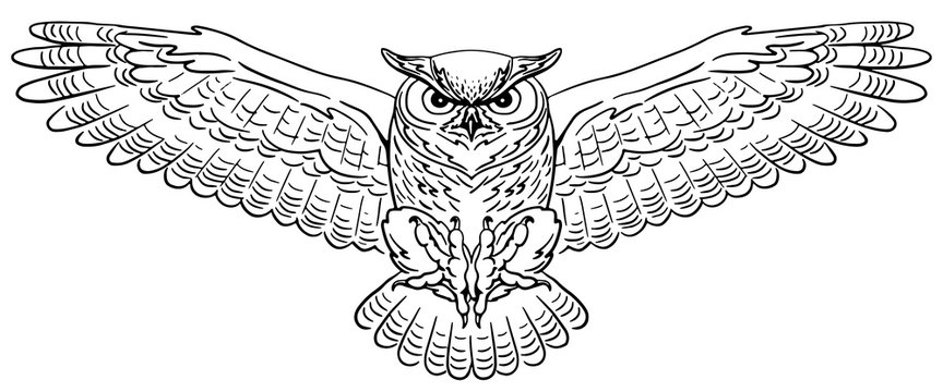 Swooping Great Horned Owl. Hand-drawn vector illustration. Line art.