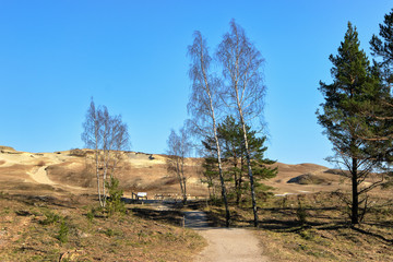 Fototapeta premium View of nordic sand dunes and forests at Curonian spit, Nida, Klaipeda, Lithuania