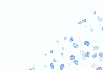 Light Pink, Blue vector doodle backdrop with flowers.