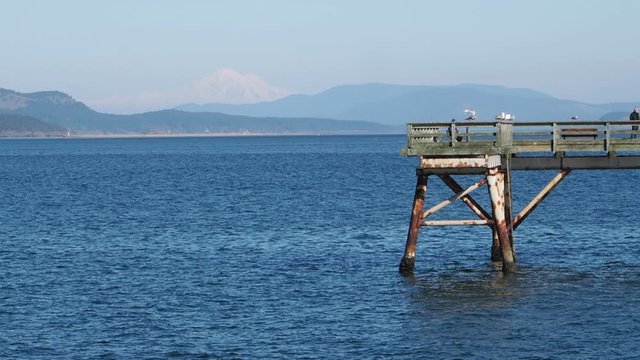Sidney  BC fishing pier with Mt. Baker in the distance. Ripples on the water, seagulls cross the frame. Slow motion