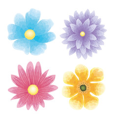 set of color flowers naturals vector illustration design