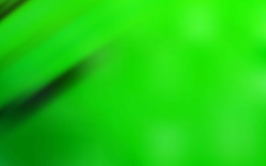 Light Green vector modern elegant backdrop. Abstract colorful illustration with gradient. Background for a cell phone.