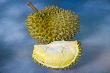 Piece of beautiful yellow aril of durian in and fruit