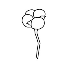 Cotton plant branch in trendy minimal style. Outline organic cotton flower for logo . Botanical vector illustration