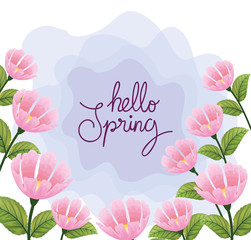hello spring with flowers and leafs decoration vector illustration design