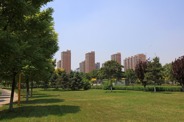 Urban Greening Landscape, China