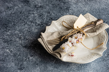 Spring floral concept with apricot blossom