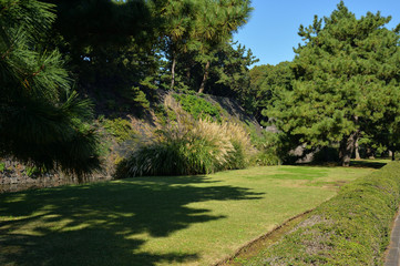 皇居東御苑、白鳥濠石垣