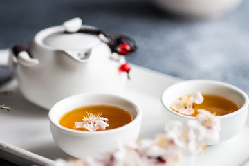 Spring floral concept with apricot blossom