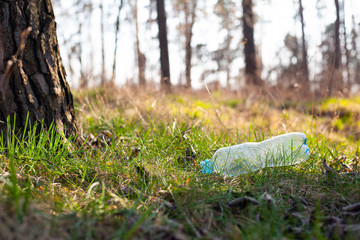 plastic bottle lies on the grass under a tree in the forest in the rays of sunlight close-up. Environmental pollution, natural environment, biosphere garbage discharge on the street