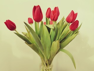 A bouquet of beautiful pink tulips. Holiday celebration. Spring season. Romantic decorative bouquet