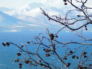 Photos of the most beautiful place in the World: Kamchatka, Russia!