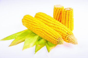 Ripe corn on the cob on a white background