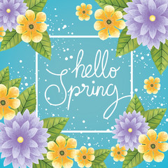 hello spring with frame of flowers and leafs vector illustration design
