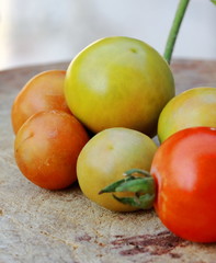 small fresh cherry tomatoes with green vines