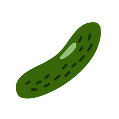 Cucumber. Juicy Cucumber. Vector illustration of a cucumber. Vector illustration